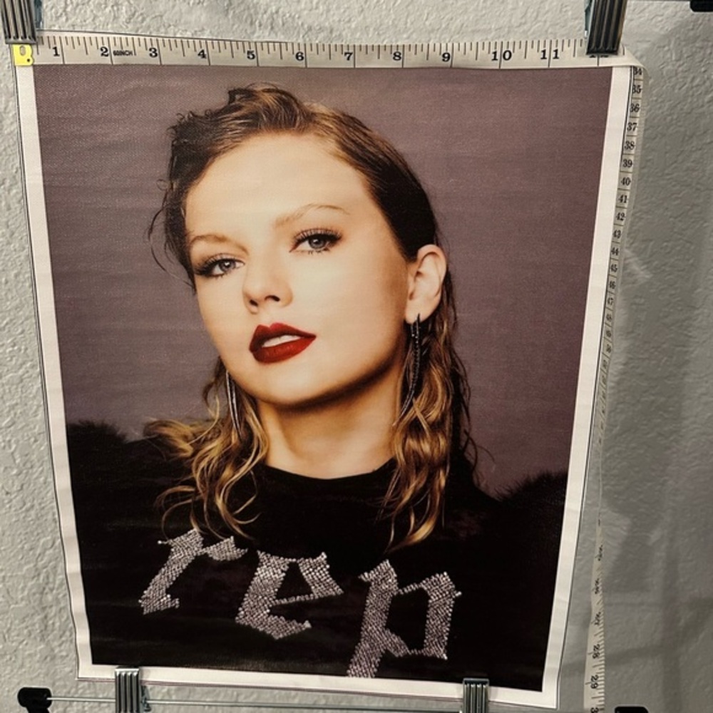 Taylor swift canvas from the reputation tour